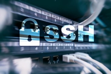 Alpha Innovations | Network Protocols Alpha Innovations | Network Protocols